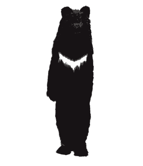 Dance Bear Sticker by CRITIC