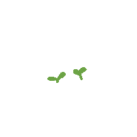 Plant Sticker