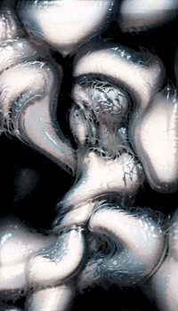 Sa Sd GIF by Aleksey Efremov