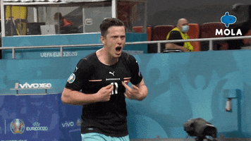 Happy Euro 2020 GIF by MolaTV