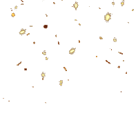 Groupe Igs All Are Welcome Sticker by Groupe IGS Toulouse