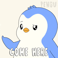 Penguin Yes GIF by Pudgy Penguins