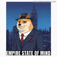 New York City Deal With It GIF by Doge Pound