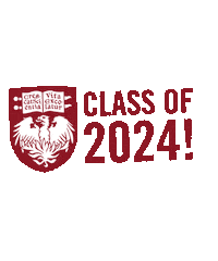 University Of Chicago Graduation Sticker by Chicago Booth