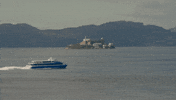 Bay Area GIF by Aerial Canvas