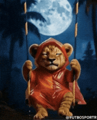 Galatasaray GIF