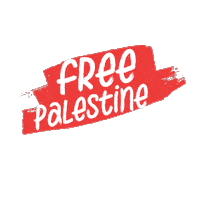 Palestine Gaza Sticker by PVDA