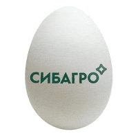 sibagro egg eggs яйца яйцо Sticker