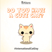 GIF by UC Browser