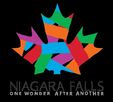 NiagaraFallsTourism giphygifmaker falls niagara niagarafalls GIF