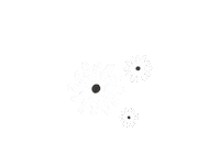 Flowers Sticker by SIMC