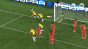 Celebration Goal GIF by Football Australia