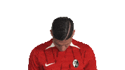 Look Up Sc Freiburg Sticker by Bundesliga