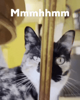 sus suspicious judging mhm mhmm GIF