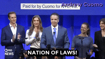 New York Vote GIF by Andrew Cuomo