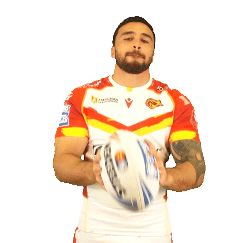 Rugby League Sticker by Dragons Catalans
