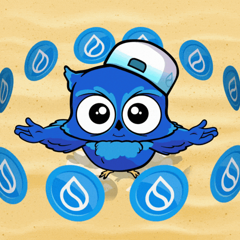 Crypto Owl GIF by BigBrains