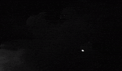 black and white horror GIF by Epitaph Records