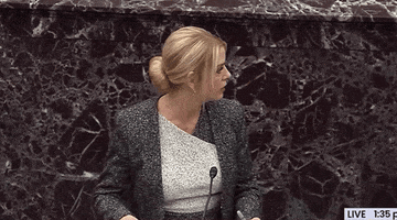 Pam Bondi Impeachment GIF