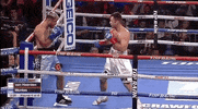top rank sport GIF by Top Rank Boxing