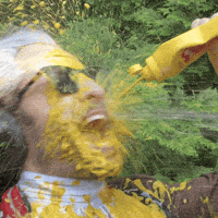 Mustard Condiment GIF