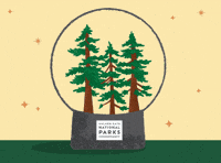 Snowglobe Redwoods GIF by Parks Conservancy