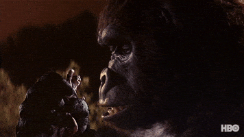 Go Away No GIF by HBO Max