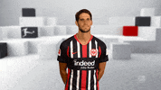 Eintracht Frankfurt Football GIF by Bundesliga