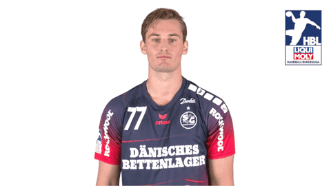 Handball-Bundesliga Sg GIF by LIQUI MOLY HBL
