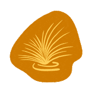 Bird Hand Sticker by Ecostore