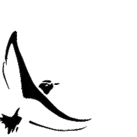 Beach Bird Sticker by Ecostore