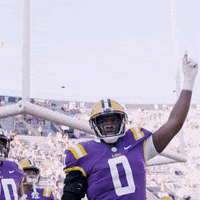 Lsu Football Win GIF by LSU Tigers