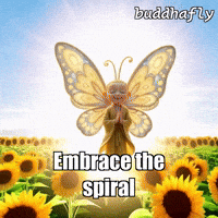 Flower Love GIF by BuddhaFlyJourney