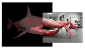 abwerner funny monster waiting shark GIF