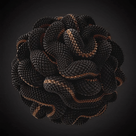 romanbratschi fun black gold abstract GIF