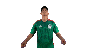World Cup Mexico Sticker by MiSelecciónMX