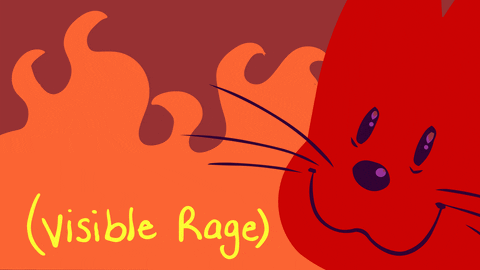 Ziggora giphyupload cat angry fire GIF
