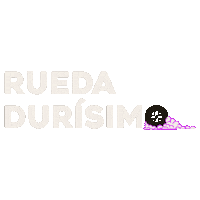 Dominican Rueda Sticker