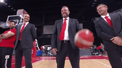 ball coach GIF by Basketball Champions League