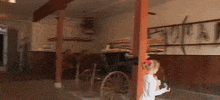 tennessee GIF
