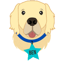 Ben Massachusetts Sticker by Town of Franklin