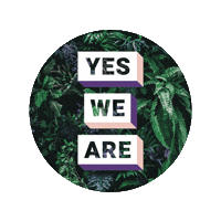 Yesweare Sticker