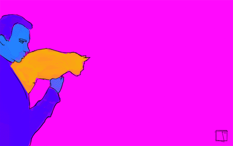 laser cat GIF