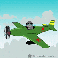 Cloud Plane GIF by Sad Hamster