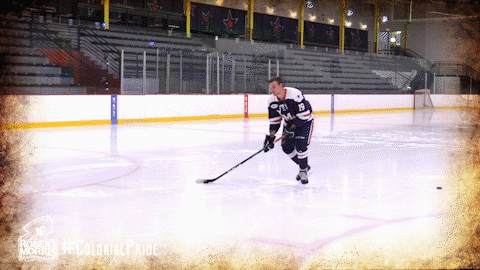 happy ice hockey GIF by Robert Morris University Athletics