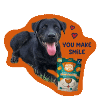 Happy Dog Sticker by Awesome Pawsome Treats