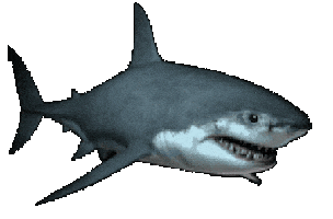 Sticker Lol Sticker by hAyDiRoKeT