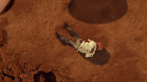 Dave Meyers GIF by P!NK