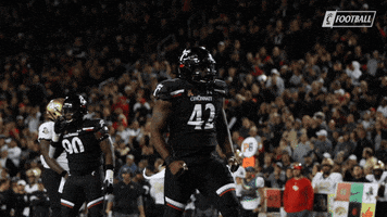 Celebrate College Football GIF by Cincinnati Bearcats