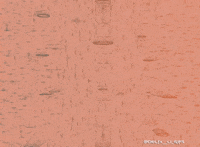 Art Love GIF by Delta__Li